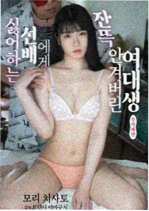 年代家庭剧《南风知我意》海报